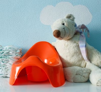 potty chair and accessories